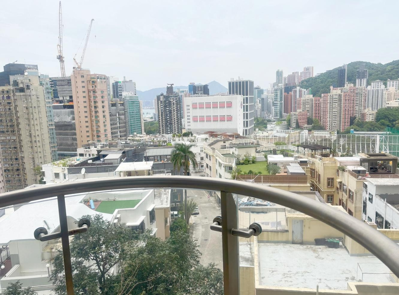 禮頓山5